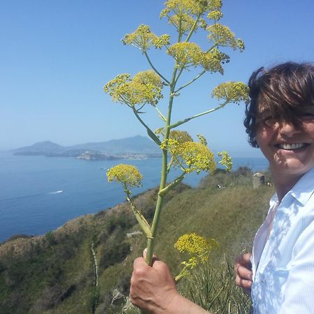 Mary'S Dream - Villa Overlooking Capri And Ischia In Sorrento Peninsula 马萨鲁布朗斯 外观 照片